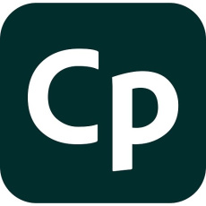Captivate for teams MP ENG COM NEW 1 User, 12 Months, Level 1, 1-9 Lic