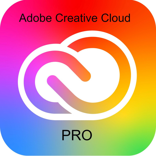 Adobe Creative Cloud Pro for teams MP ML (+CZ) GOV 1 User, 12 Months, Level 1, 1 - 9 Lic