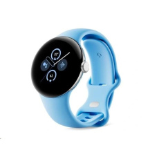 Google Pixel Watch 2 Bluetooth Silver Case / Bay Band, EU