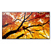 SHARP M502, LCD 50" Message Large Format Display, 24/7, 3840 x 2160, 500 [cd/m2]