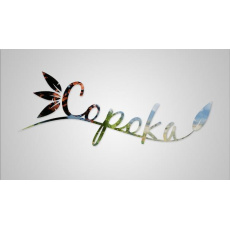 Copoka (PC) klíč Steam Copoka (PC) klíč Steam
